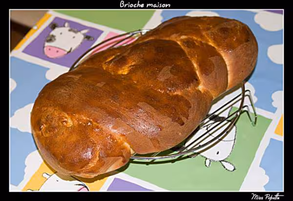Brioche