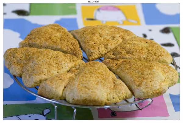 Scones nature