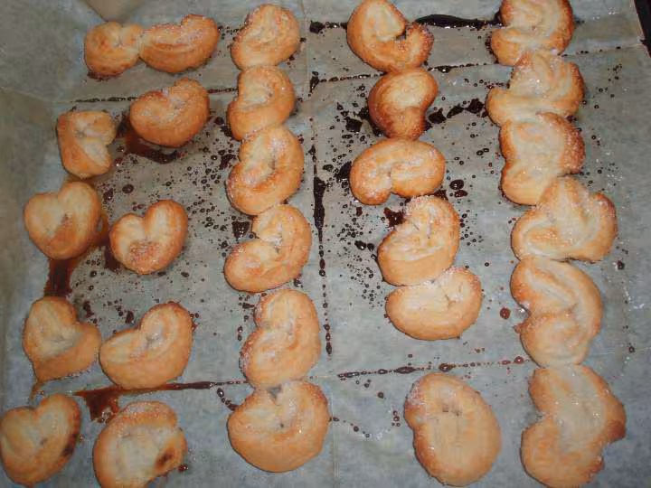 Mes premiers palmiers