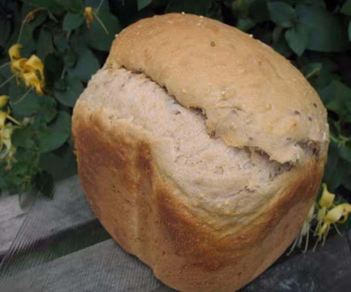 Pain semi complet au levain