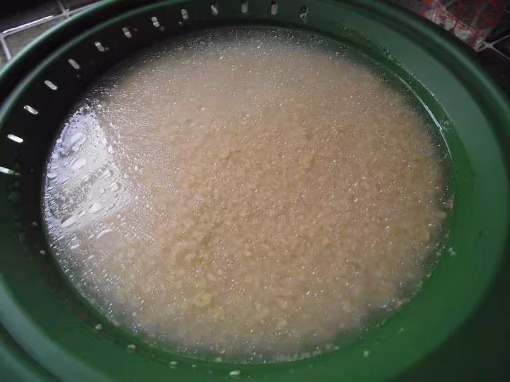 Couscous micro vap
