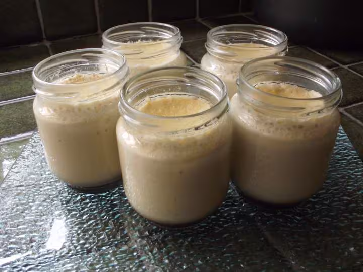 Flan vanille light