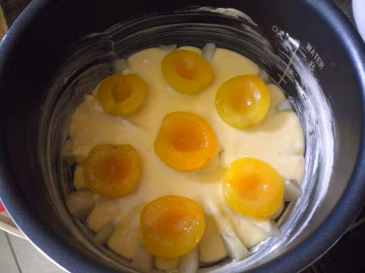 Gateau brioche aux poires abricots et pralines
