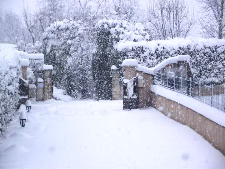 La neige