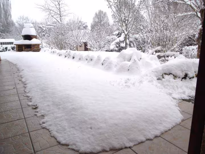 La neige