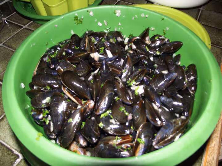 Moules micro vap