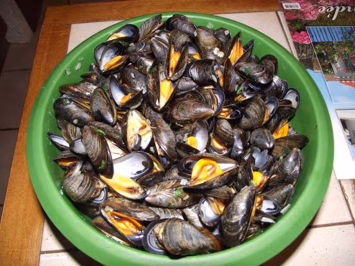Moules micro vap