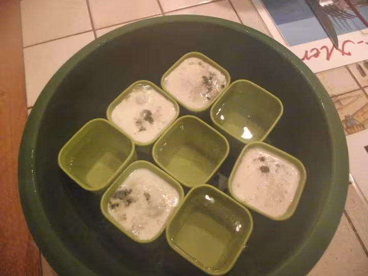 Oeuf cocotte