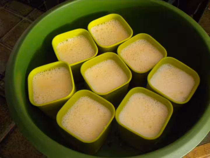 Petit flan caramel