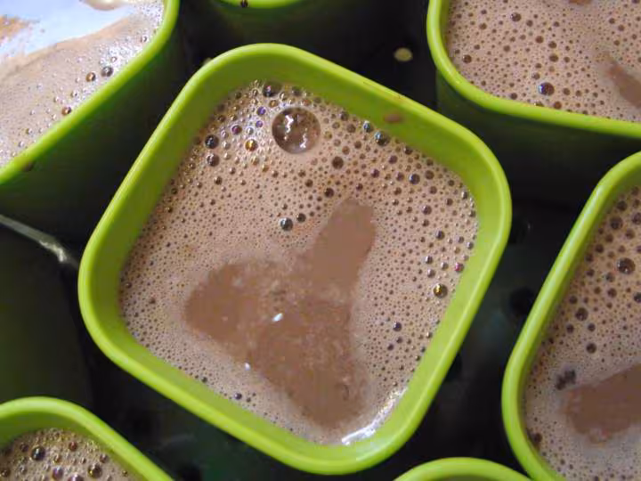 Petits flans chcocolat