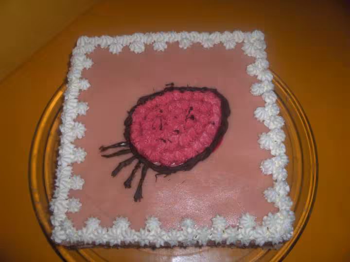 Fraisier 2