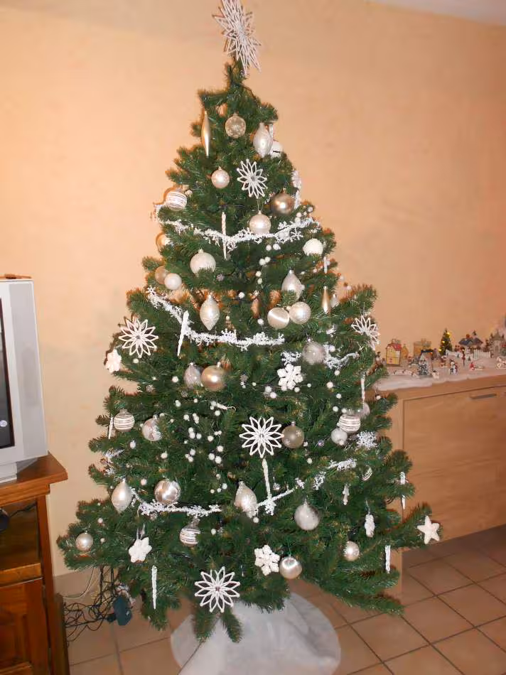 Sapin