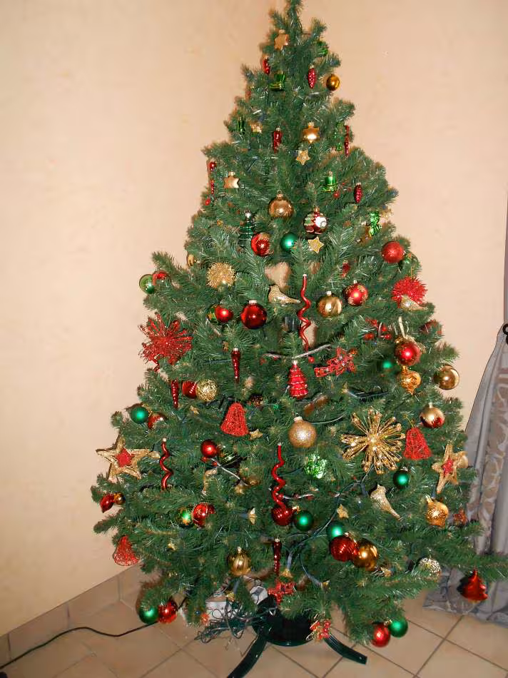 Sapin 2013