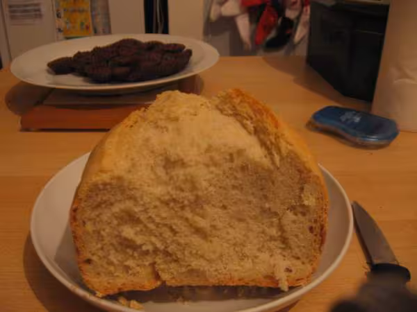Pains sur poolish rate