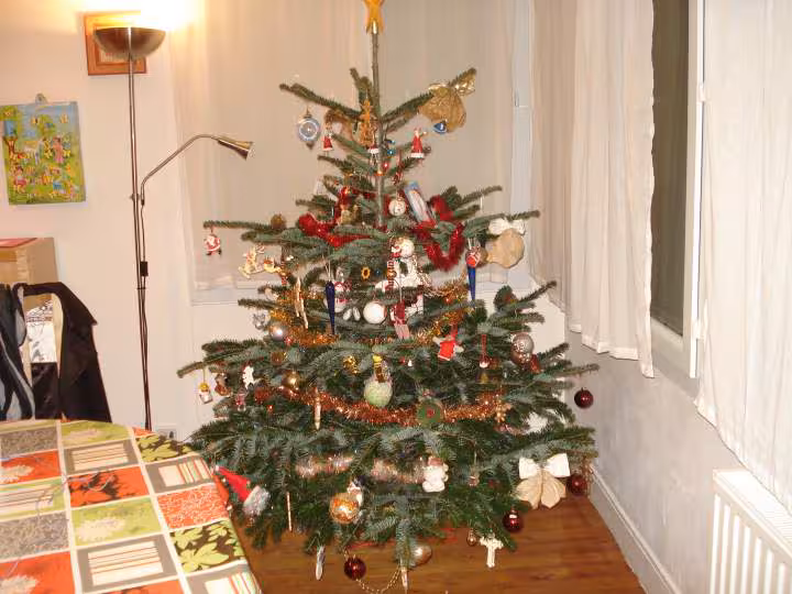 Arbre noel 2009