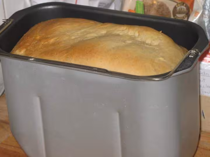 Brioche dans cuve quigg