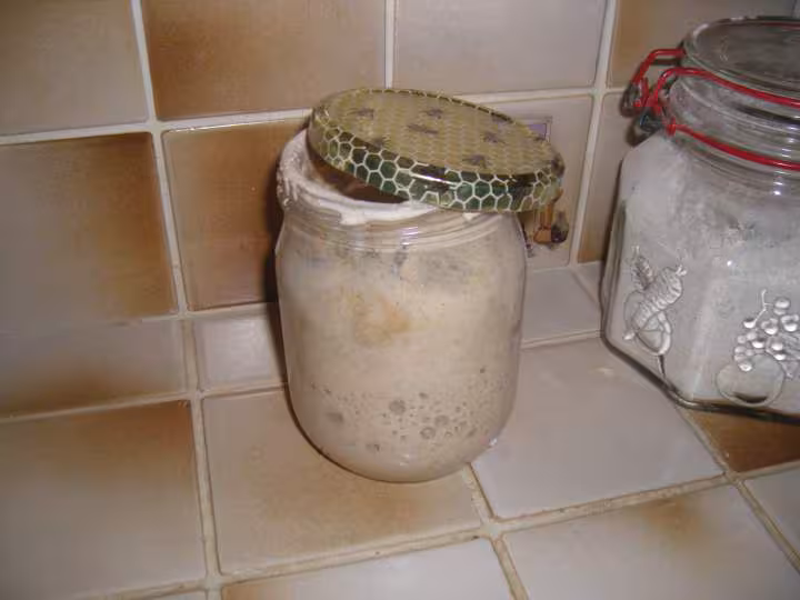 Bocal de levain