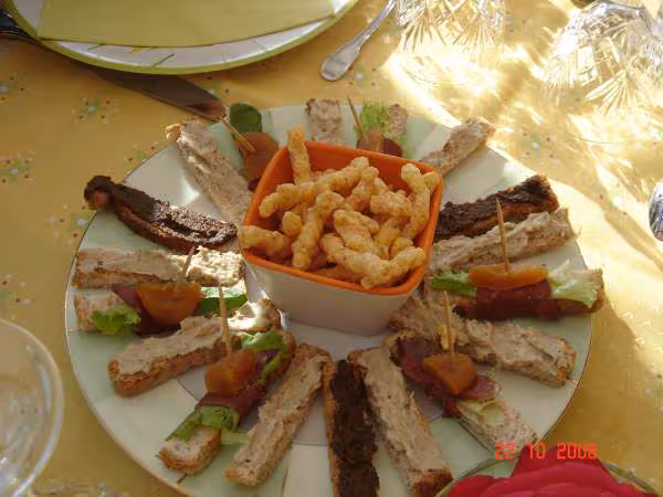 Batonnets au magret de canard