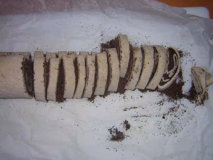 Palmier 3