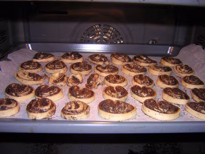 Palmier 4