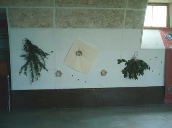 Mur 5