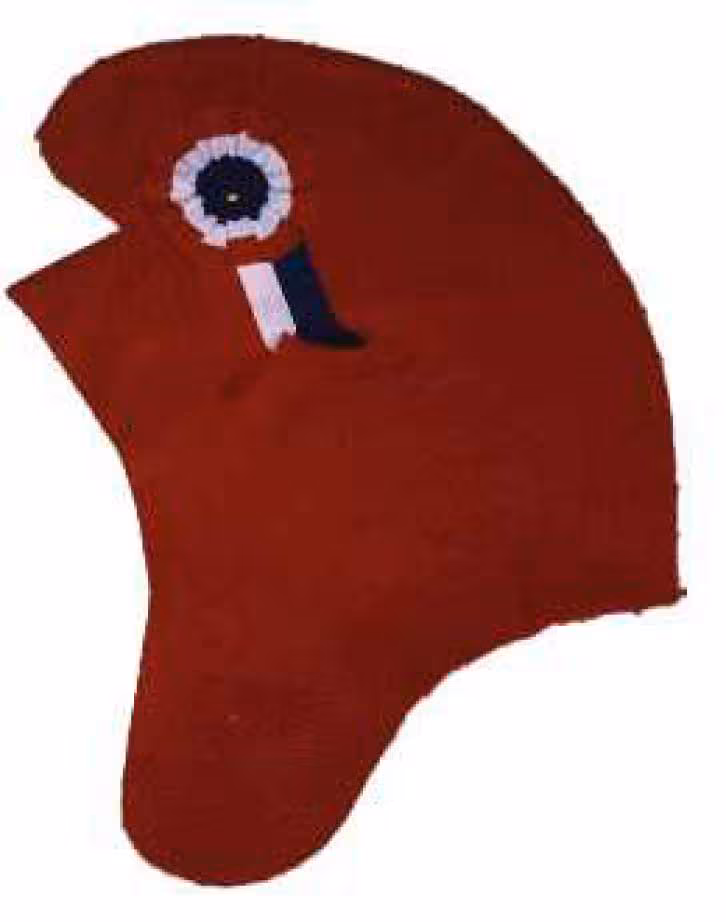 Bonnet