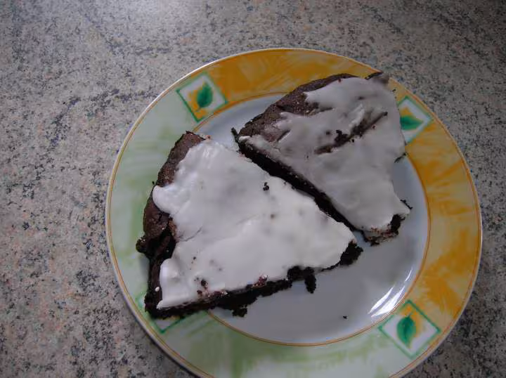 Gateau au fudge riche et fonce