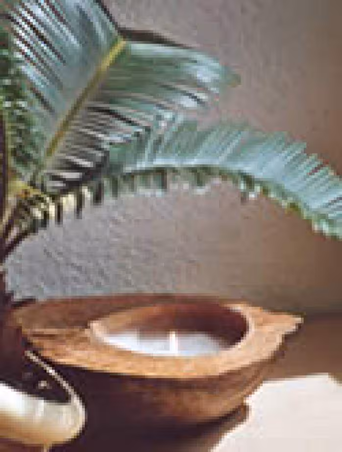 Bougie noix de coco