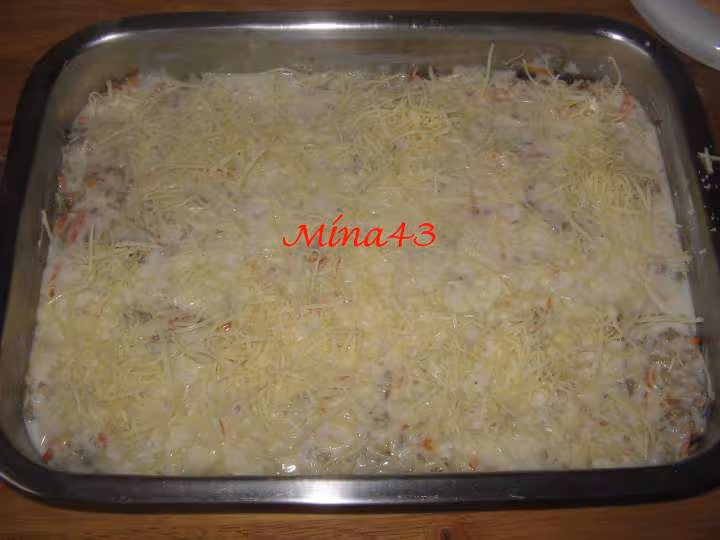 Gratin d endives 7
