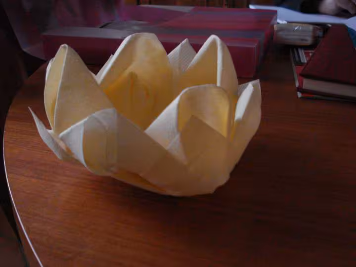 Lotus1