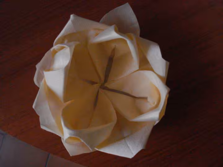 Lotus2