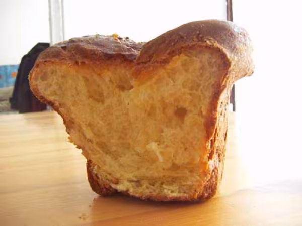 Brioche flore