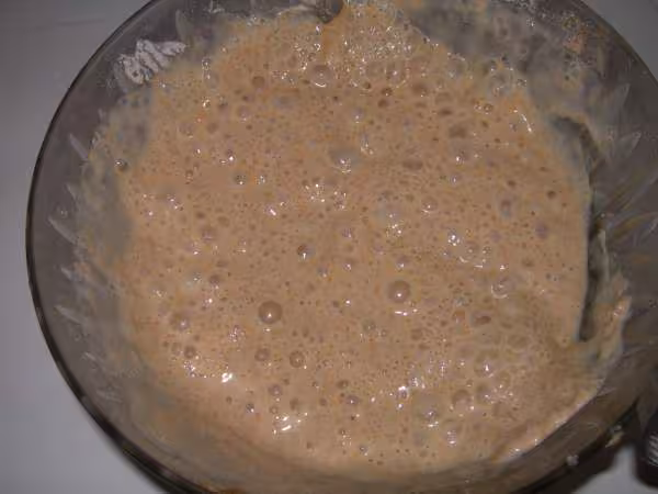 Levain j6