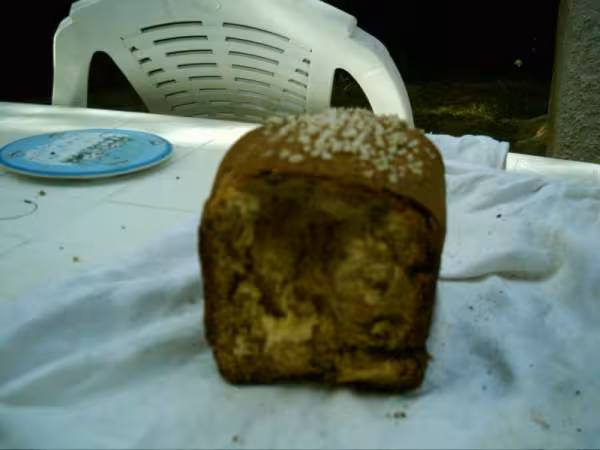 Ma brioche aux raisins