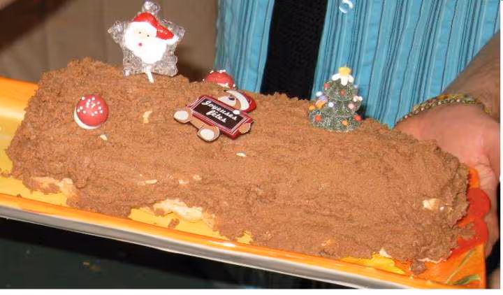 Buche 2011