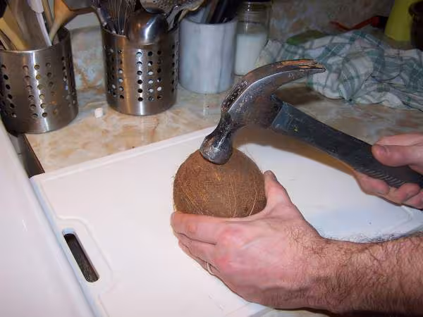 Briser la noix de coco