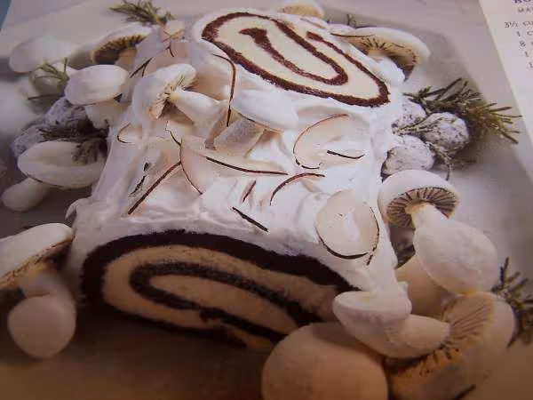 Buche blanche pour noel blanc