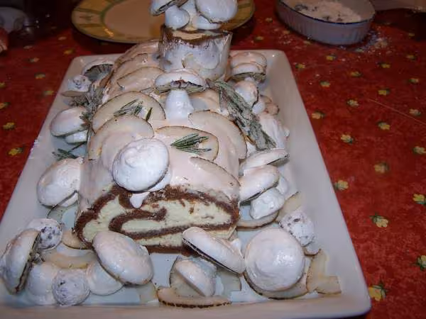 Buche finie