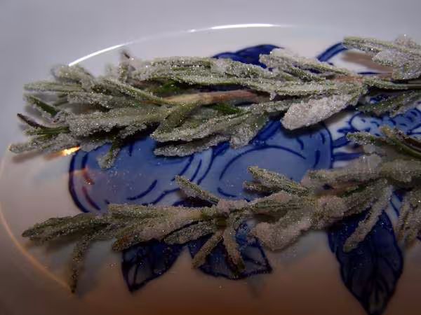 Crystalliser le romarin est mis a secher