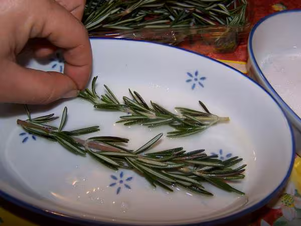 Crystalliser on passe le romarin dans du blanc d oeuf