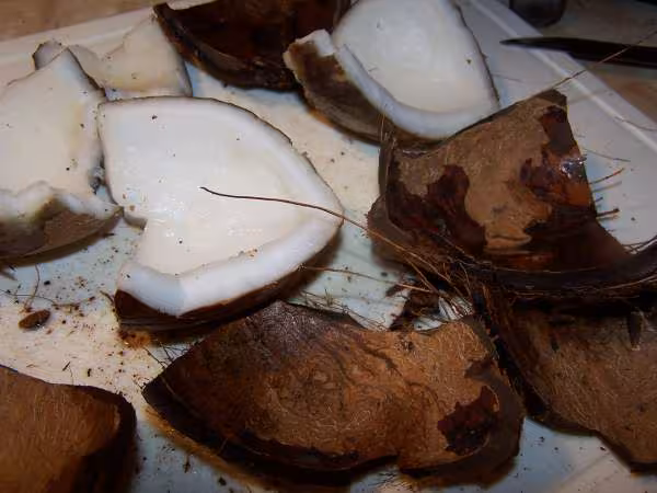 Ecaler la noix de coco