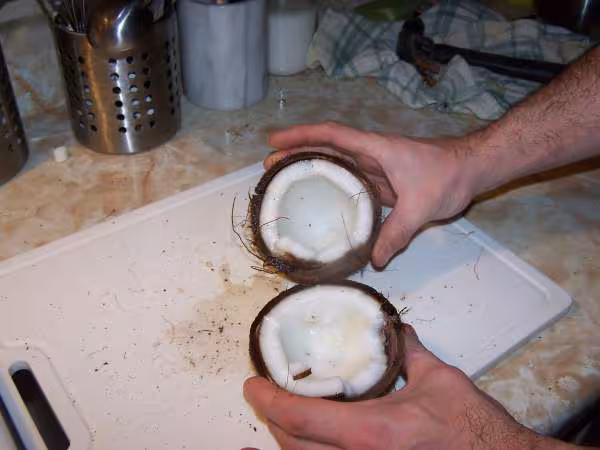 Noix de coco brisee