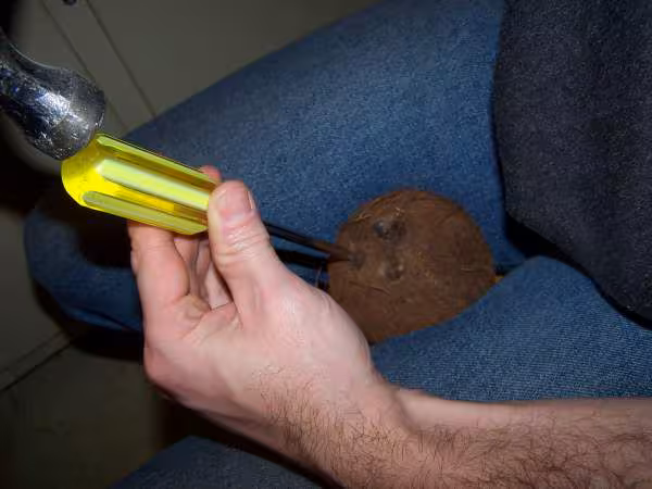Percer la noix de coco
