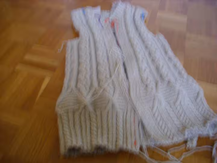 Gilet rate
