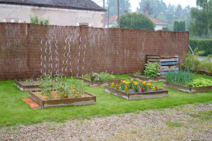 Jardin mai 2008