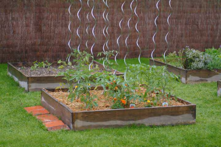 Tomates