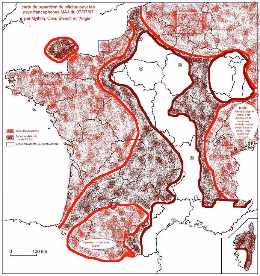 Carte mildiou