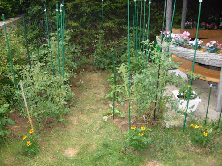 Potager