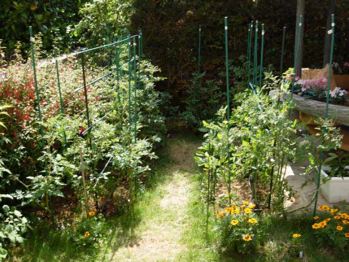 Potager