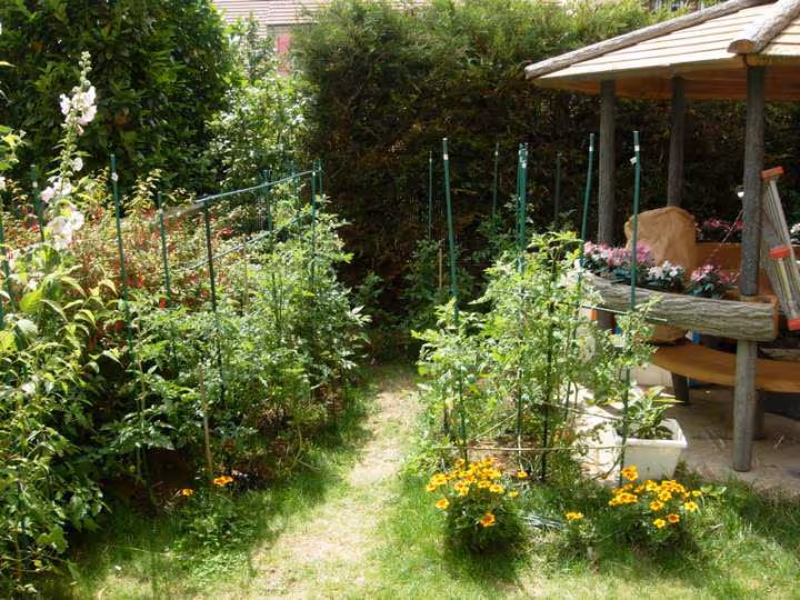 Potager